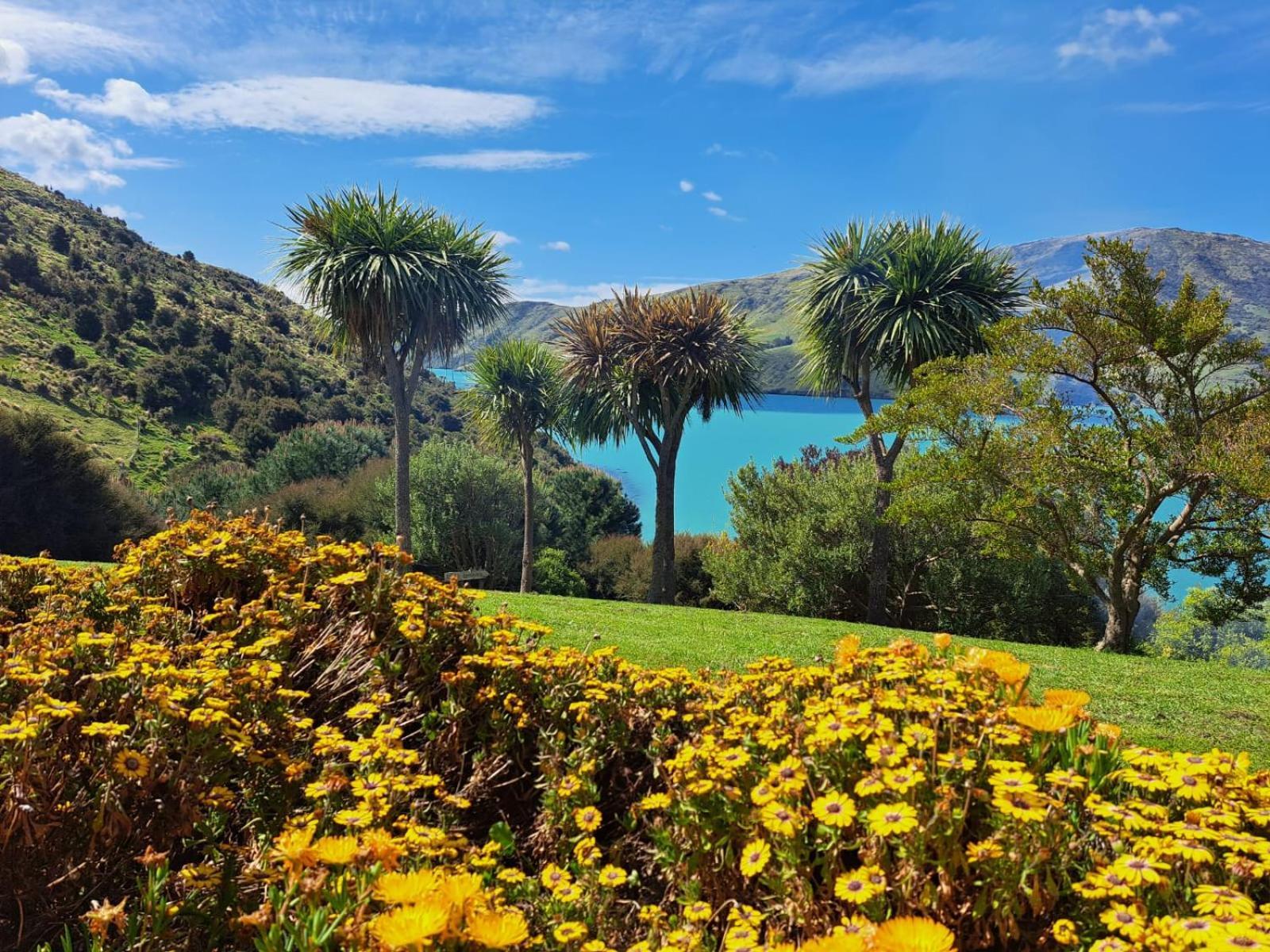 Port Levy B & B Christchurch Buitenkant foto
